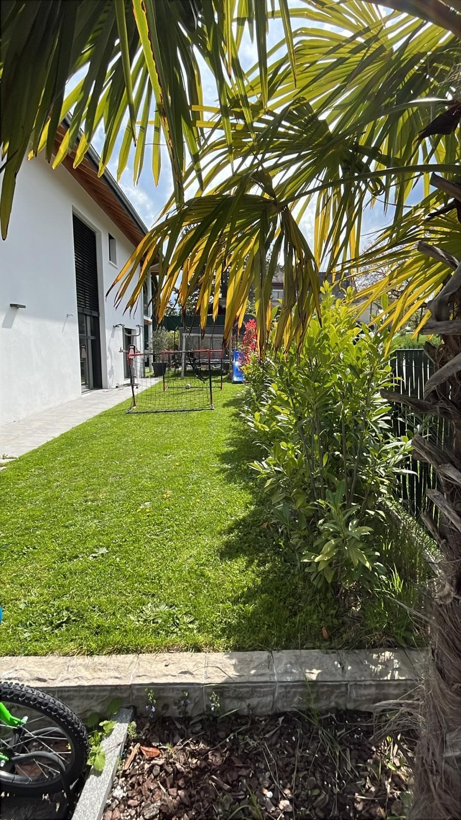 Jardin tropical et palmier