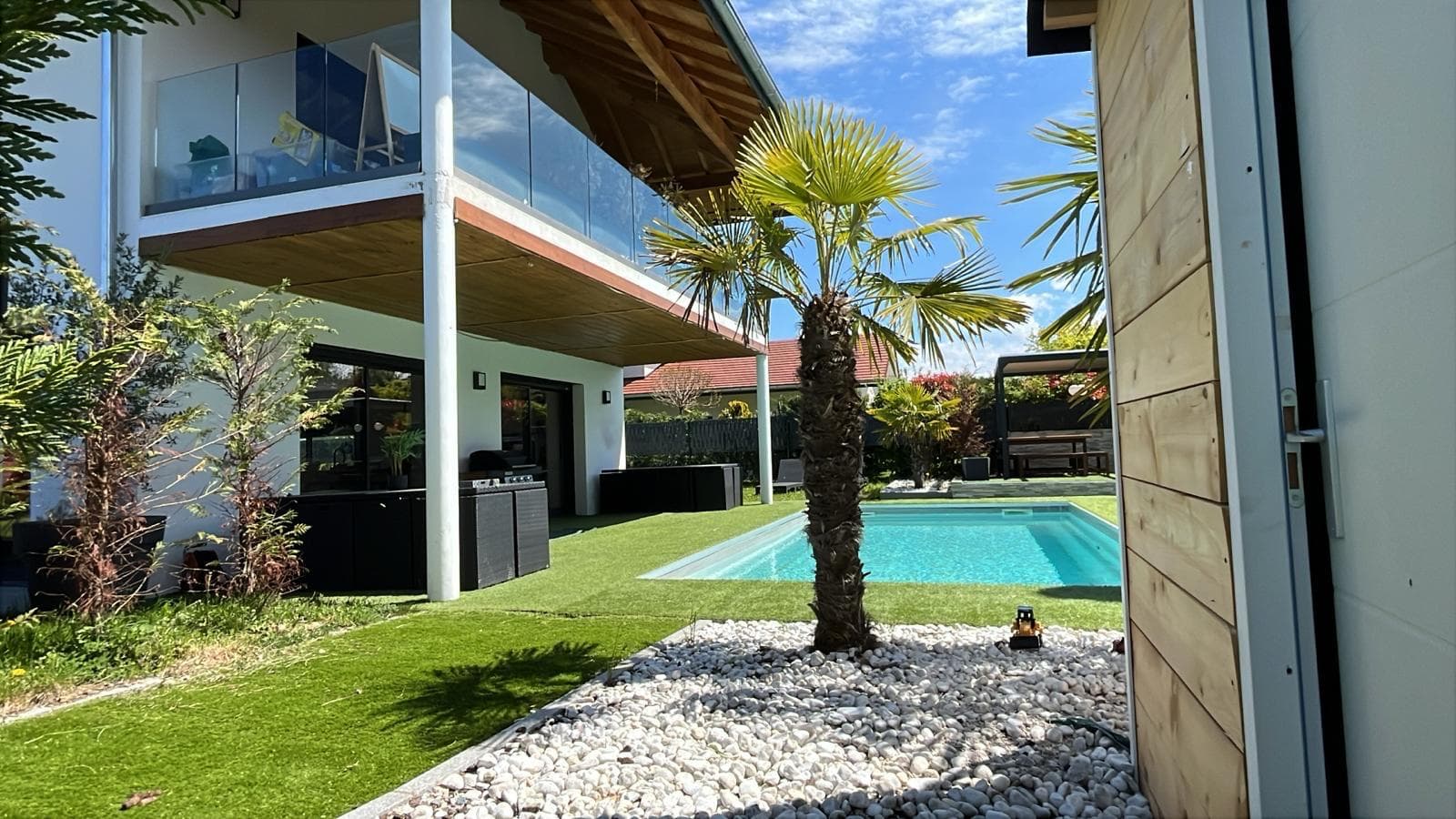 Piscine et palmier (2)